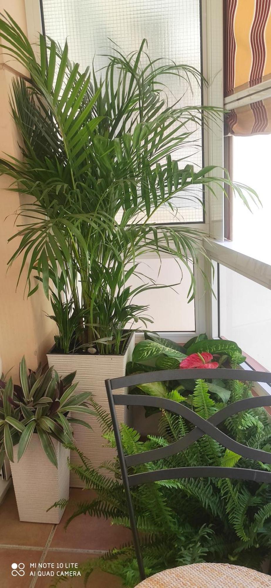 Duplex Fuengirola Centro 3 Dormitorios מראה חיצוני תמונה